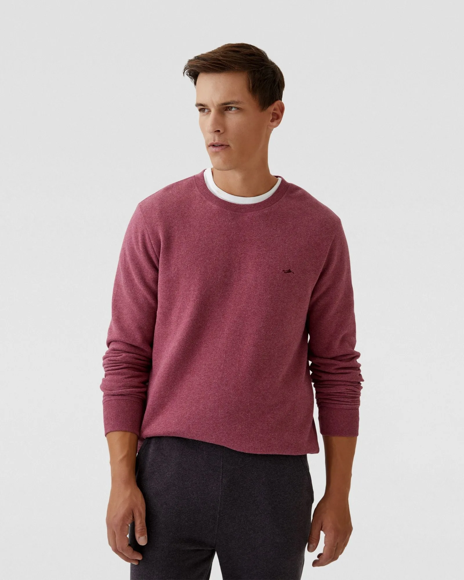 Leo Organic Cotton Sweatshirt