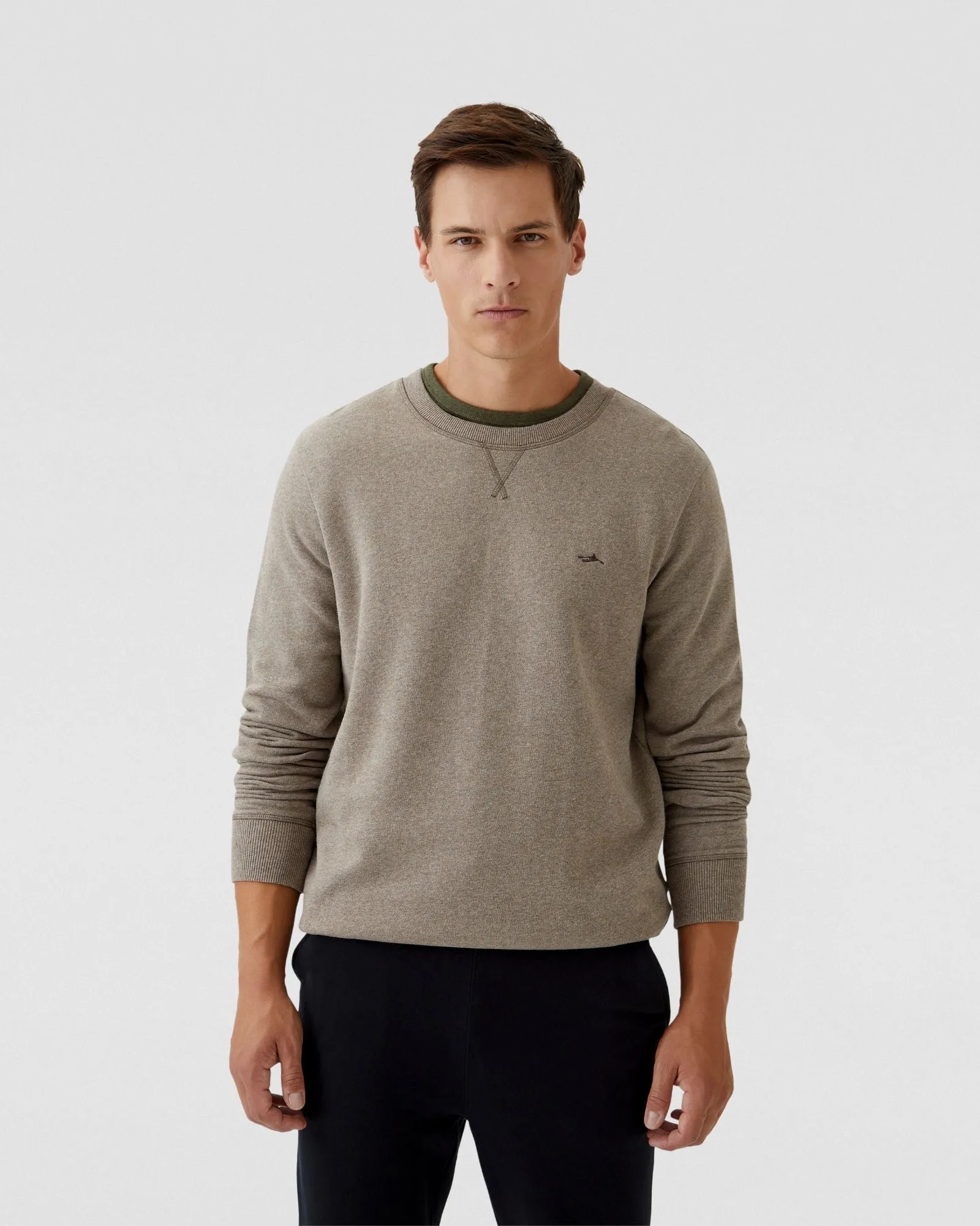 Leo Organic Cotton Sweatshirt