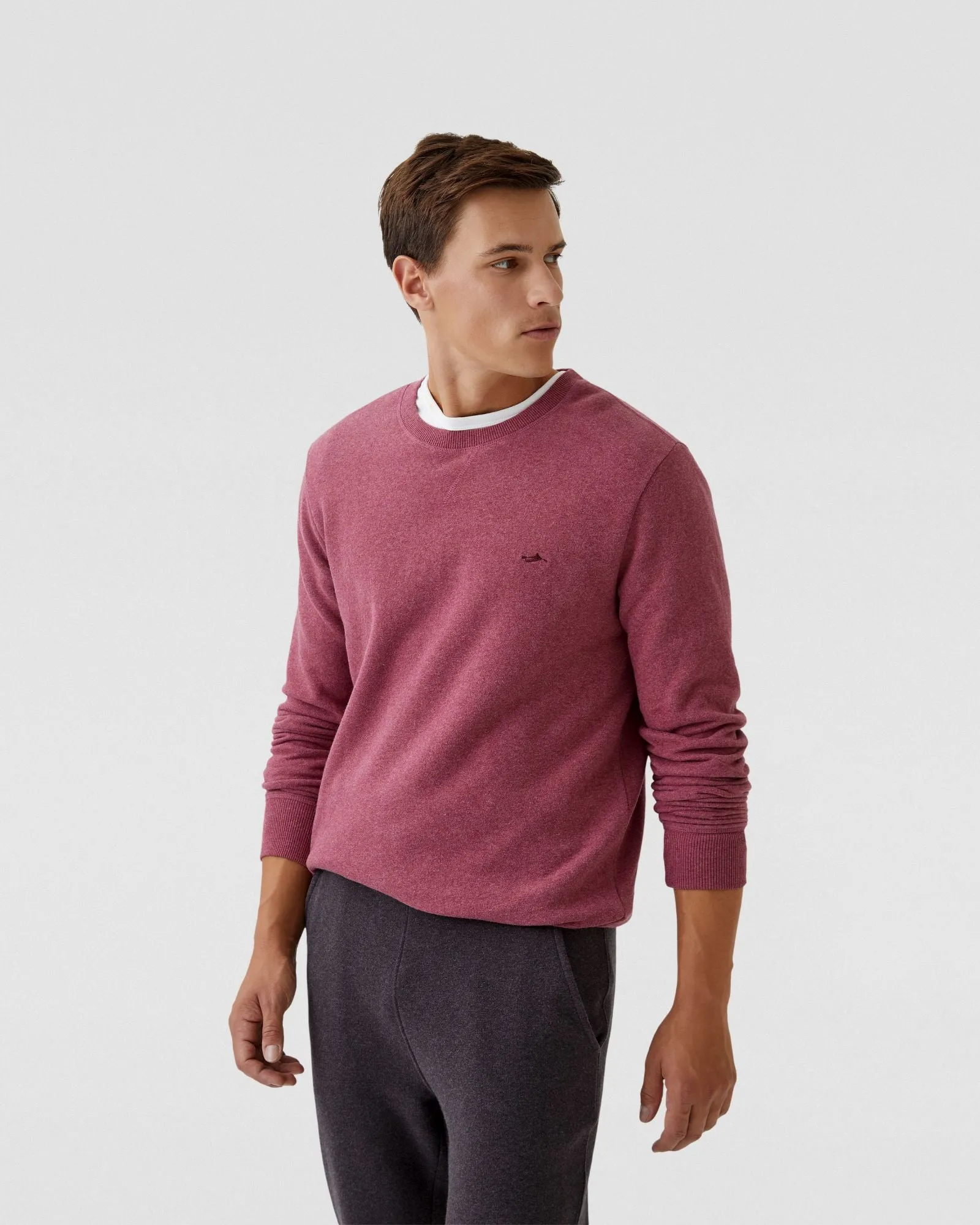 Leo Organic Cotton Sweatshirt