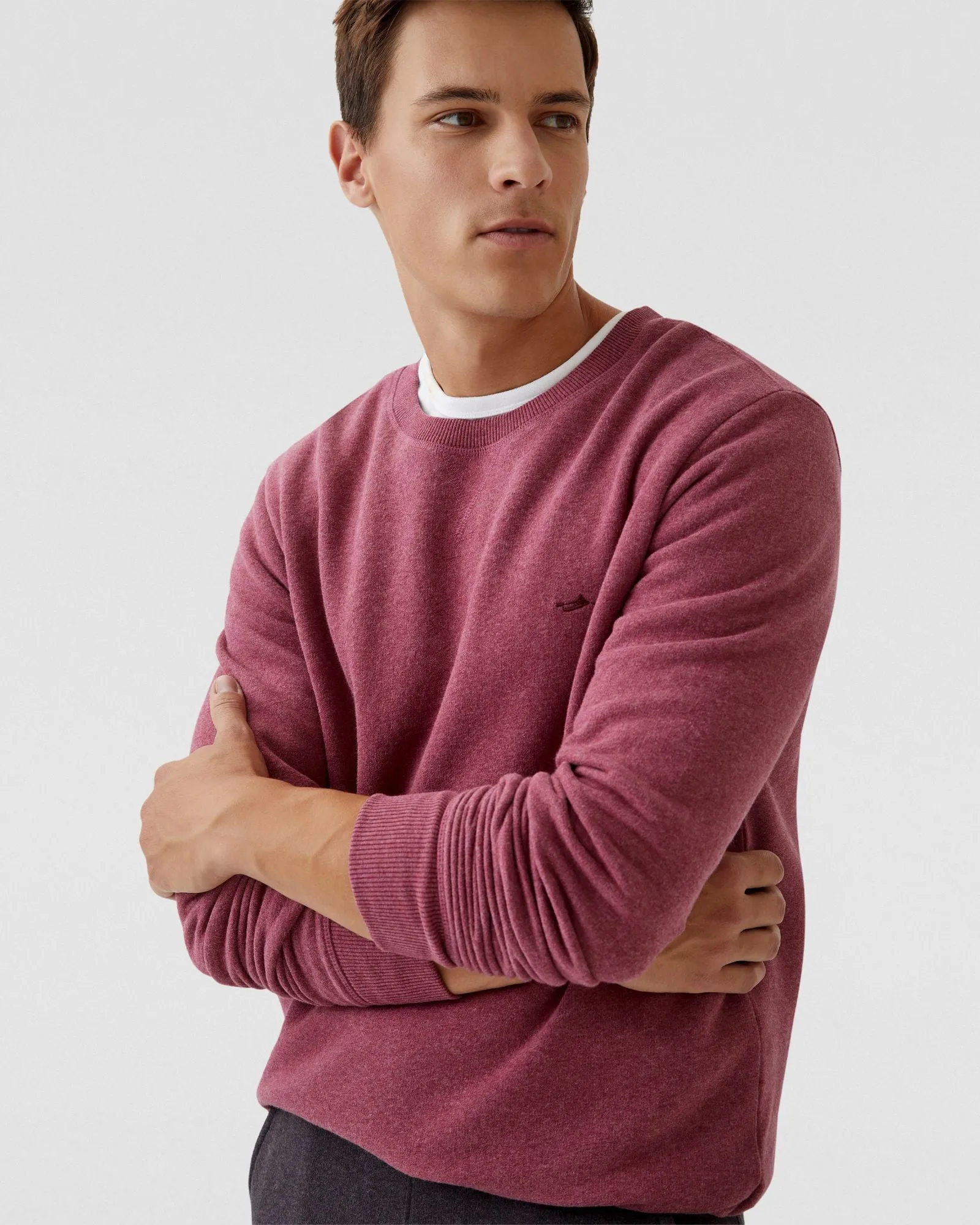 Leo Organic Cotton Sweatshirt