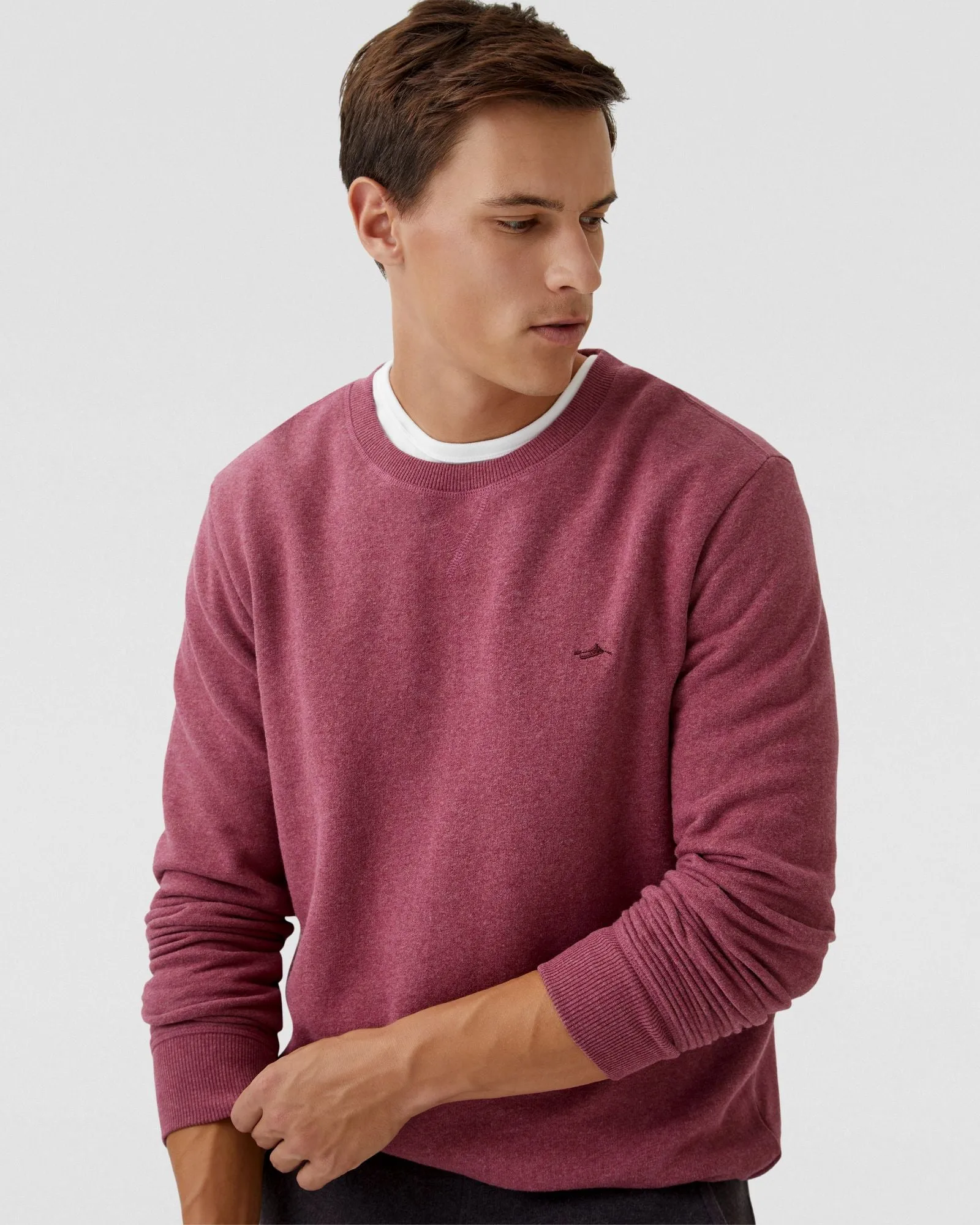 Leo Organic Cotton Sweatshirt